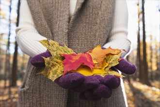 USA, New Jersey, Woman holding leaves in Autumn forest, mid section. Photo : Tetra Images