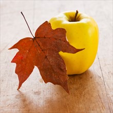 Autumn leaf and apple.