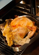 Turkey on roasting pan.