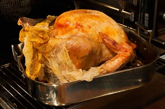 Turkey on roasting pan.