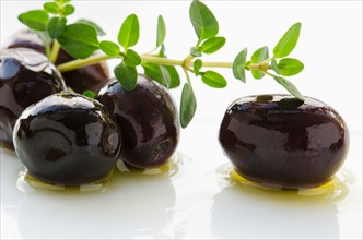 Close-up of black olives with fresh thyme, studio shot.
