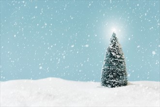 Christmas tree covering by snow, studio shot.