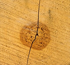 Close-up of cracked wood.