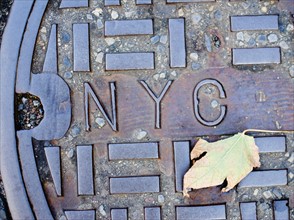 USA, New York State, New York City, Manhole and Fall leaf. Photo : Jamie Grill