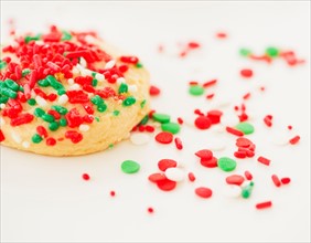 Studio Shot of christmas cookie with sprinkles. Photo : Daniel Grill
