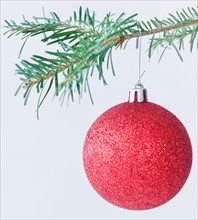 Studio shot of red Christmas ornament hanging on Christmas tree. Photo : Daniel Grill