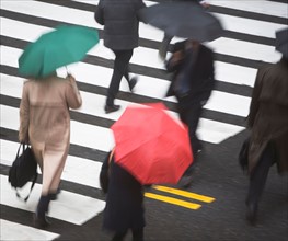USA, New York state, New York city, pedestrians with umbrellas on zebra crossing . Photo : fotog