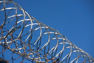 close-up of barbed wire. Photo : fotog