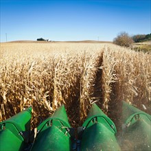USA, Iowa, Latimer, Combine harvester harvesting corn. Photo : Sarah M. Golonka