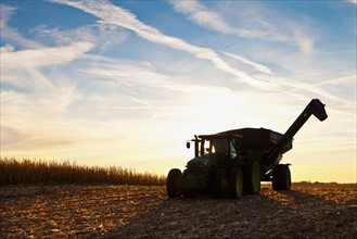 USA, Iowa, Latimer, Combine harvester harvesting corn. Photo : Sarah M. Golonka