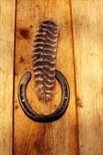 Feather and horse shoe on wooden wall. Photo : John Kelly