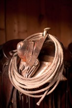 Close-up of saddle with rope. Photo : John Kelly