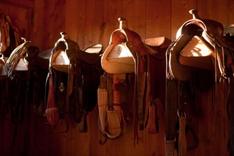 Saddles in barn. Photo : John Kelly