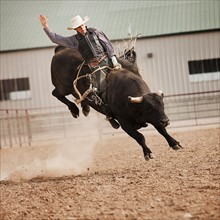 USA, Utah, Highland, Bull rider during rodeo. Photo : Mike Kemp