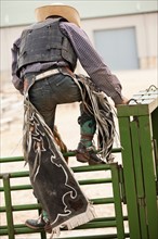 Rodeo cowboy climbing on fence. Photo : Mike Kemp