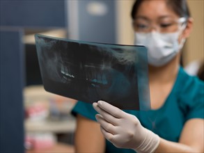 Dentist checking x-ray image. Photo : Dan Bannister