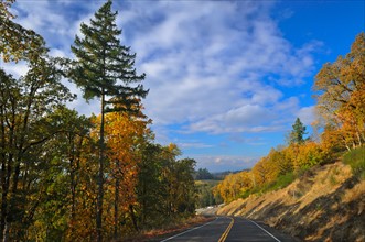 USA, Oregon, Polk County, Country road. Photo : Gary Weathers