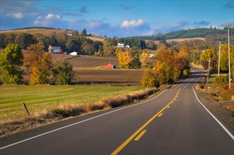 USA, Oregon, Polk County, Rural farm scene. Photo : Gary Weathers