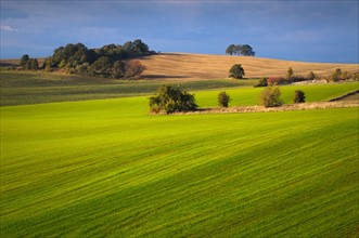 USA, Oregon, Polk County, View of green hills. Photo : Gary Weathers