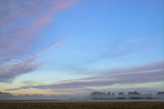 USA, Oregon, Marion County, Foggy morning. Photo : Gary Weathers