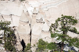 USA, New Mexico, Kasha-Katuwe Tent Rocks National Monument. Photo : Henryk Sadura
