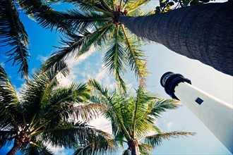USA, Florida, Key Biscayne, Lighthouse with palm trees. Photo : Henryk Sadura