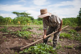 Cuba, Las Tunas, Farmer digging in field. Photo : Mark de Leeuw