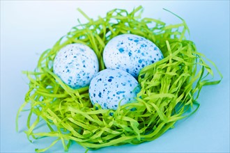Blue Easter eggs in bird's nest, studio shot. Photo :  Elena Elisseeva