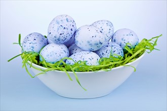 Blue Easter eggs in bowl, studio shot. Photo :  Elena Elisseeva