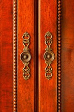 Close-up of antique cabinet's door. Photo :  Elena Elisseeva