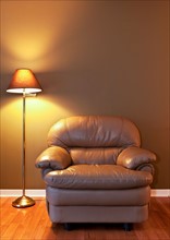 Leather armchair and floor lamp. Photo : Elena Elisseeva