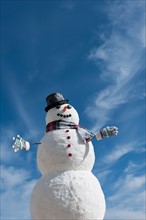 Snowman under blue sky.
