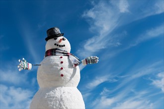 Snowman under blue sky.