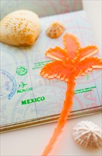Passport with plastic palm.
