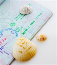 Studio shot of passport with seashells.
