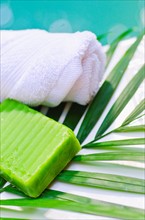 Soap, towel and palm leaf.