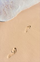 Mexico, Yucatan. Footprints on beach.