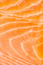 Close up of salmon meat, studio shot. Photo : Jamie Grill