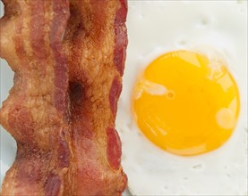 Close up of fried egg with bacon, studio shot. Photo : Jamie Grill