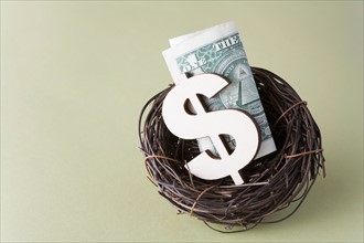Studio shot of dollar symbol and banknote in bird's nest. Photo : Kristin Lee