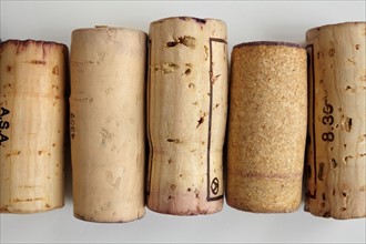 Studio shot of wine corks. Photo : Winslow Productions