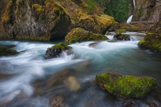 USA, Oregon, Multnomah County. Wachlella Falls on Tanner Creek. Photo : Gary Weathers
