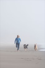 USA, California, Stinson beach. Woman running on sandy beach in fog with her dogs beside her. Photo