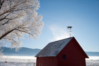 USA, Montana, Whitefish. Old barn in winter scenery. Photo : Noah Clayton