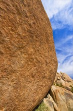 USA, California, Joshua Tree National Park, Detail of boulder.