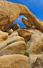 USA, California, Joshua Tree National Park, Arch rock.