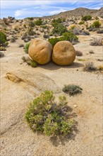 USA, California, Joshua Tree National Park, Boulders in desert.