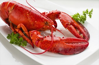Cooked lobster.