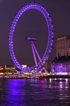 UK, England, London, London eye illuminated at night.