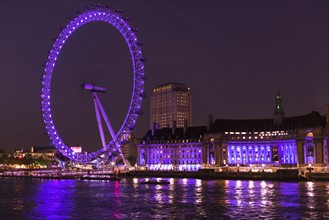 UK, England, London, London eye illuminated at night.